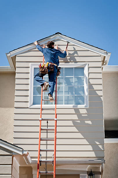 Best Historical Building Siding Restoration  in Belvedere, SC